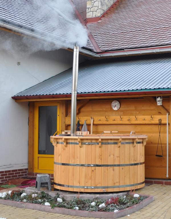 Villa Dom Tulipan Krynica-Zdrój Exterior foto